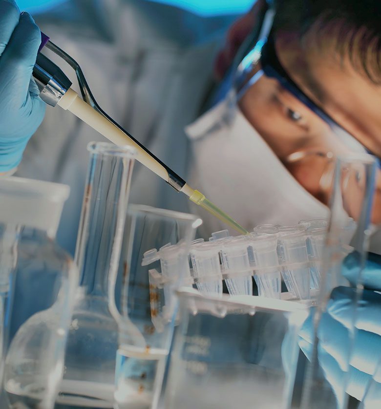 Formulation & Development Support